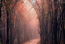 竞彩足球葡萄牙对阵法国，这场焦点战该怎么看？