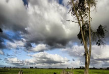 如何快速获取NBA即时比分？不同平台的实时数据有什么特点？